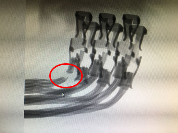 1607669531107858.jpg IMG_6106.jpg