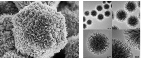 1630028987853387.jpg 0fa54368-398e-4842-91e5-fda3432c9b48.jpg