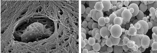 1630029002267804.jpg fd631ba7-1ccb-4615-aa92-f2f1bb94d1d8.jpg