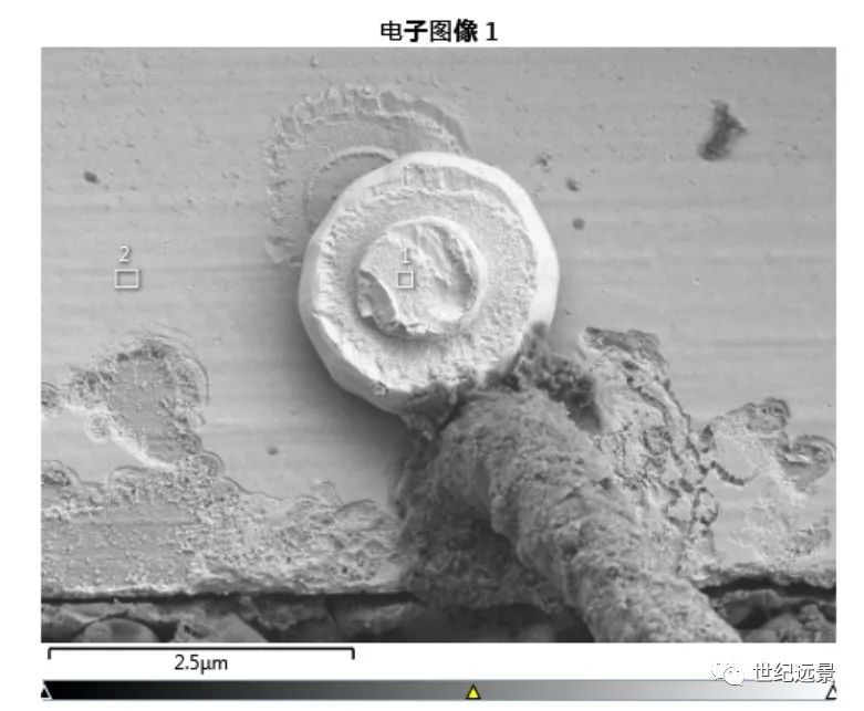 1701412867121954.jpg 1701412867121954.jpg