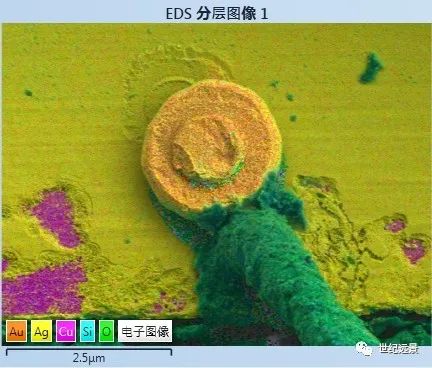 1701412917792462.jpg 1701412917792462.jpg