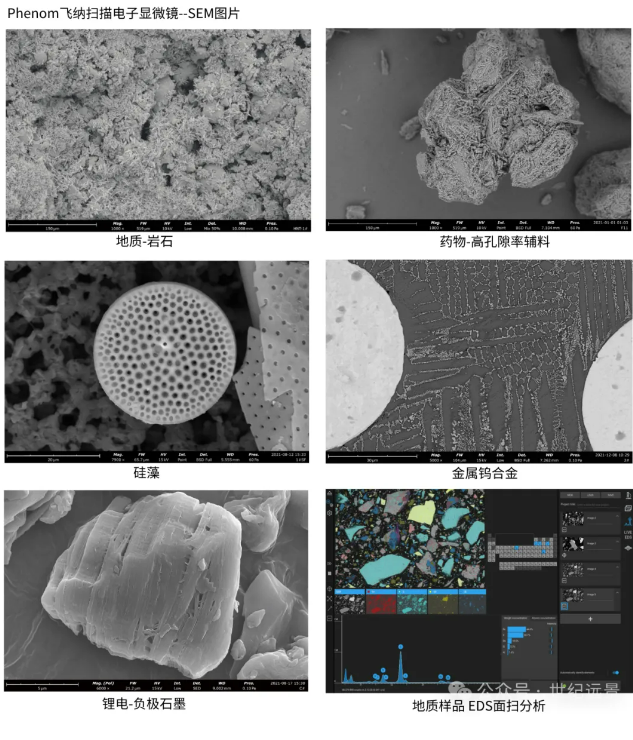 扫描电镜租赁哪个靠谱 扫描电镜租赁哪个靠谱
