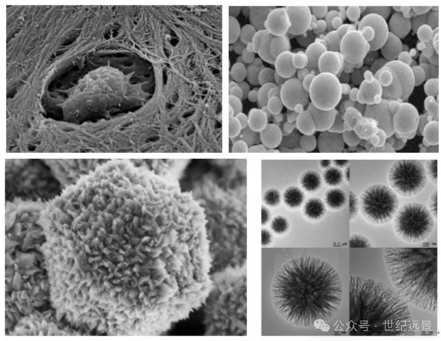 扫描电镜二手租赁服务 扫描电镜二手租赁服务