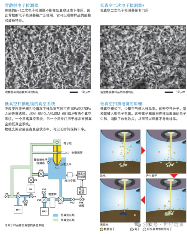 租售电镜扫描 租售电镜扫描