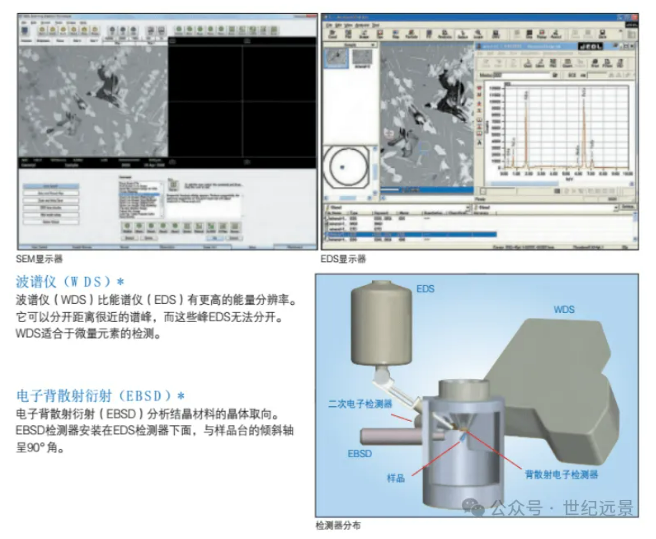 电镜扫描出租 电镜扫描出租