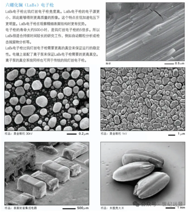 电镜扫描出租 电镜扫描出租