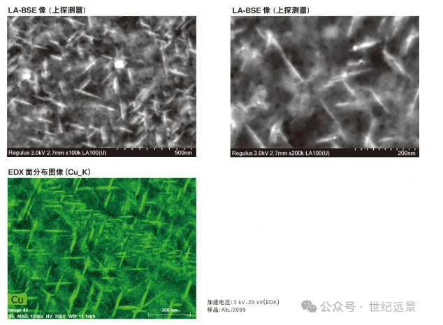 扫描电子显微镜SU8220 租售 扫描电子显微镜SU8220 租售