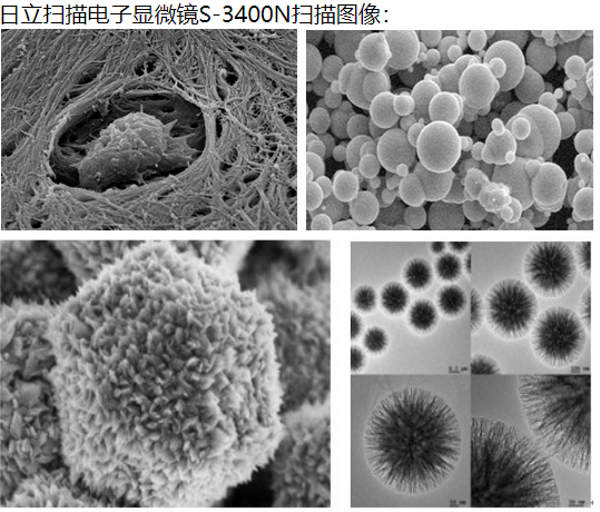 日立S3400N扫描电镜租赁服务 日立S3400N扫描电镜租赁服务
