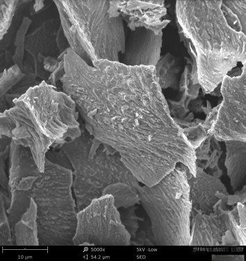 飞纳台式扫描电镜租赁服务 飞纳台式扫描电镜租赁服务