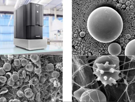 飞纳台式扫描电镜租赁服务 飞纳台式扫描电镜租赁服务