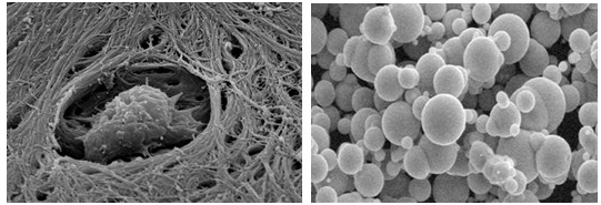 日立S-3400N扫描电镜租赁服务 日立S-3400N扫描电镜租赁服务