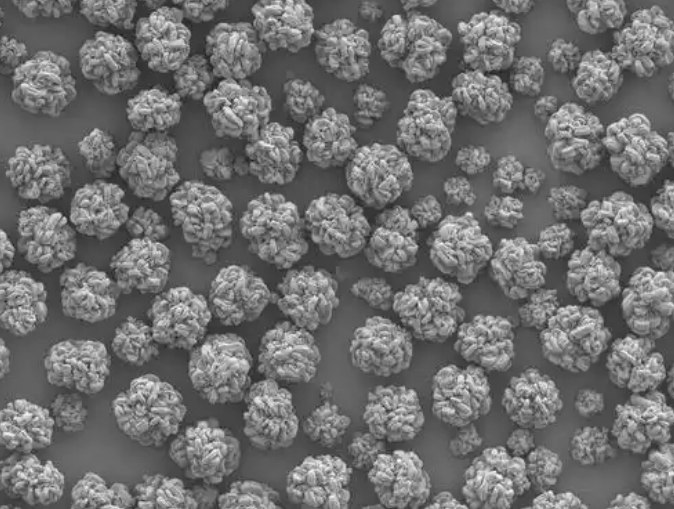 日立高新场发射扫描电子显微镜SU8220租售 日立高新场发射扫描电子显微镜SU8220租售