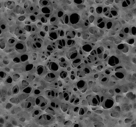 Phenom飞纳Pro X电镜租售 Phenom飞纳Pro X电镜租售