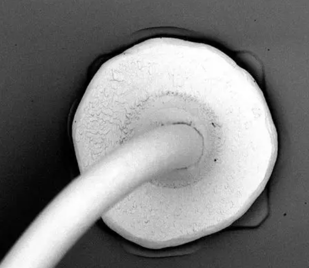 Phenom飞纳Pro X电镜租售 Phenom飞纳Pro X电镜租售