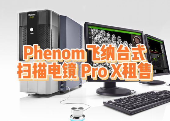 Phenom飞纳Pro X电镜租售 Phenom飞纳Pro X电镜租售