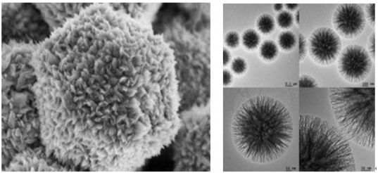 日立 S-3400N 型扫描电子显微镜租售服务 日立 S-3400N 型扫描电子显微镜租售服务