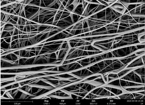 飞纳台式扫描电镜 Pro X 租售服务 飞纳台式扫描电镜 Pro X 租售服务