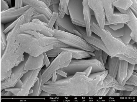 飞纳台式扫描电镜 Pro X 租售服务 飞纳台式扫描电镜 Pro X 租售服务