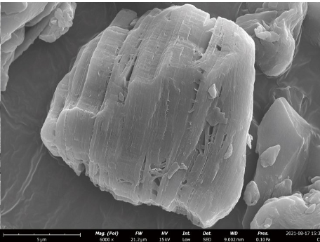 飞纳台式扫描电镜 Pro X 租售服务 飞纳台式扫描电镜 Pro X 租售服务