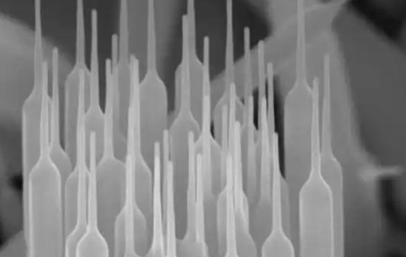 日立扫描电镜 8220 租赁服务 日立扫描电镜 8220 租赁服务