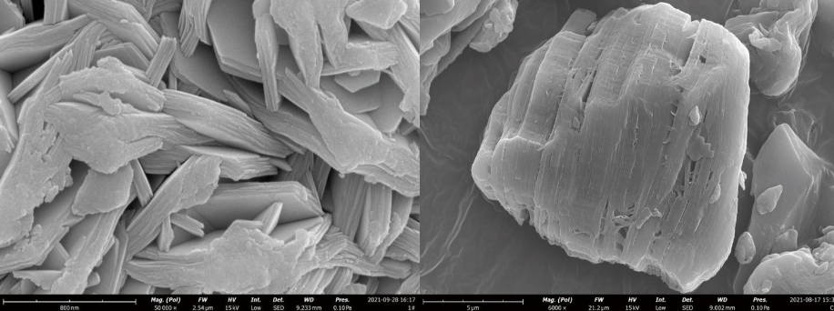 Phenom 飞纳台式扫描电镜 Pro X 租赁服务 Phenom 飞纳台式扫描电镜 Pro X 租赁服务