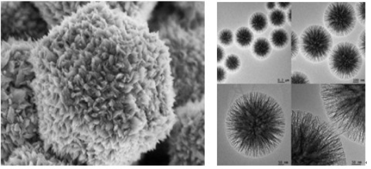 日立 S-3400N 型扫描电子显微镜租售服务 日立 S-3400N 型扫描电子显微镜租售服务