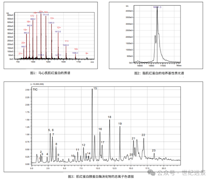 岛津Shimadzu LCMS-2010EV型液相色谱质谱联用仪租售服务 岛津Shimadzu LCMS-2010EV型液相色谱质谱联用仪租售服务